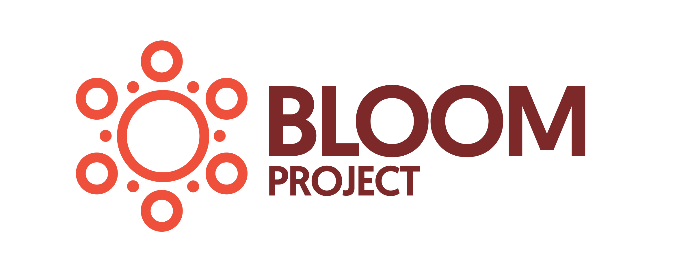 Bloom Project Management BLOOM — Infrastructure for Public Problem-Solving